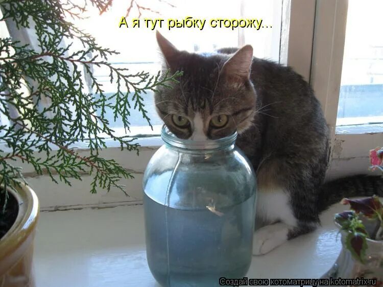 с добрым утром 10 января. доброе утро 1 января 24 года. утро 1 января. доброе утро 1 января 24 года. доброе утро 1 декабря прикольные.