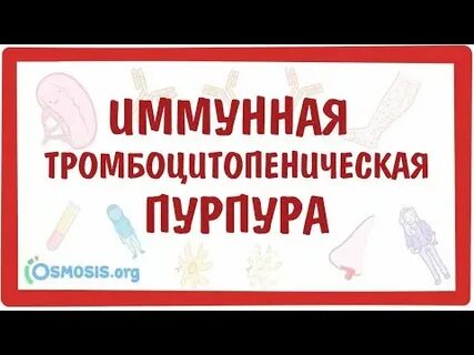 Ответы на тест нмо идиопатическая тромбоцитопеническая пурпура
