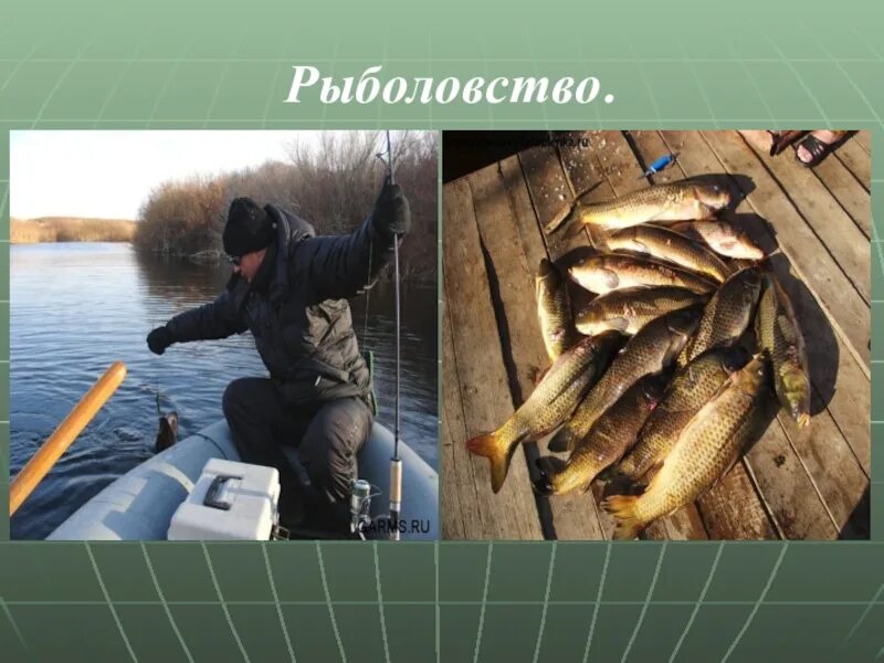 Презентация на тему рыболовство. Сообщение о рыболовстве. Доклад на тему рыболовство. Отрасли рыболовства. Рыболовство как традиционное занятие народов россии
