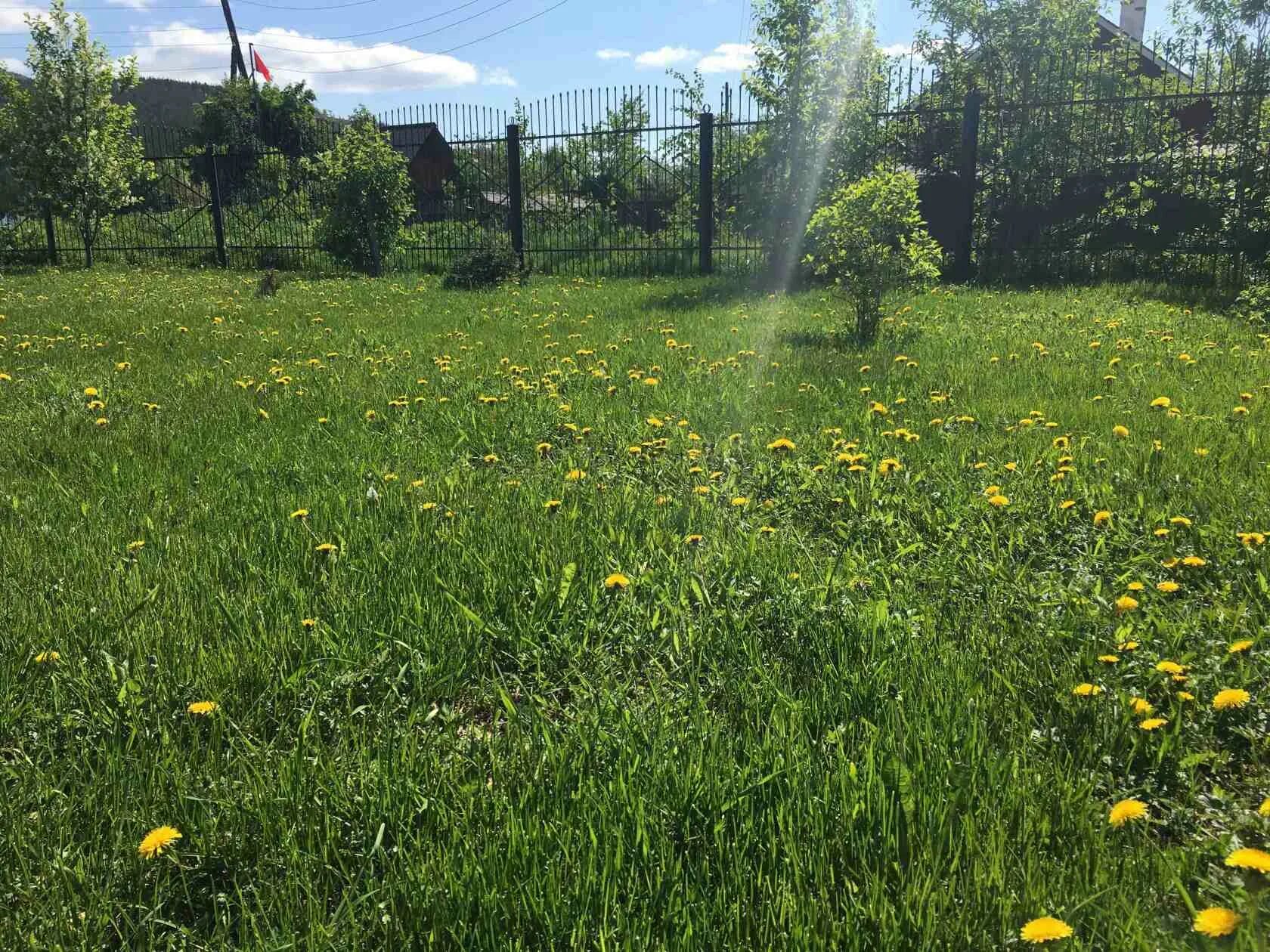 Трава у дома год. Земляне 2021 песни. Трава у дома год. Торфяная церковь хофскиркья исландия. Трава у дома год.