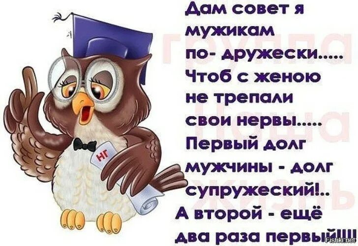 Не следует давать советы другим. Афоризмы про нервную систему. стихи про нервы смешные. прикольные советы мужчинам. цитаты про нервы прикольные.