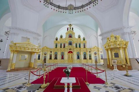 Сень 5