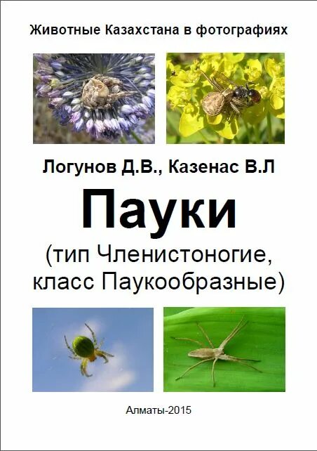 Тип пауков в биологии. Насекомые вокруг нас. пауки и насекомые вокруг нас казенас в.л.. книги по биологии пауков. пауки россс крас книга.