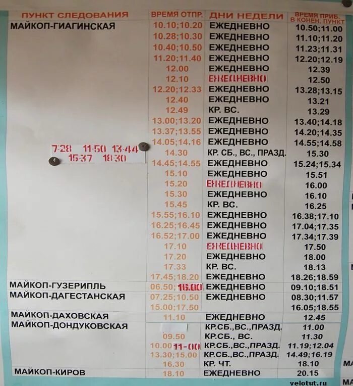 Расписание автобусов ростов кропоткин. Майкоп Гузерипль автобус. Расписание Майкоп Гиагинская автостанция. Расписание автобусов Майкоп Гиагинская автостанция. Расписание автобусов Майкоп.