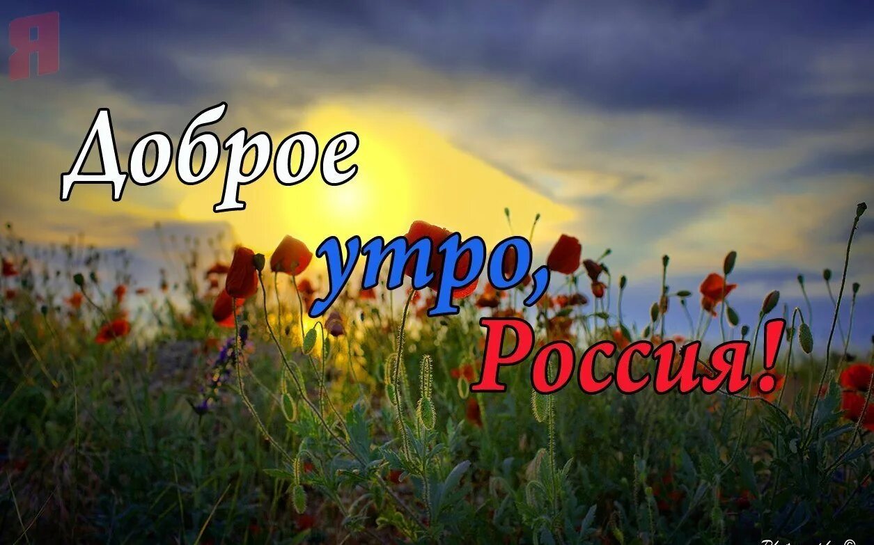 Мирного доброго утра и хорошего дня картинки. Доброе утро Россия. Доброе утро россияне. Доброе утро Страна. Доброе утро Страна Россия.