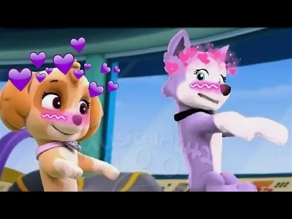 Видео про скай топа. Скай топ ютуб. Видео про скай топа. Скай топ ютуб. Paw patrol скай и эверест.