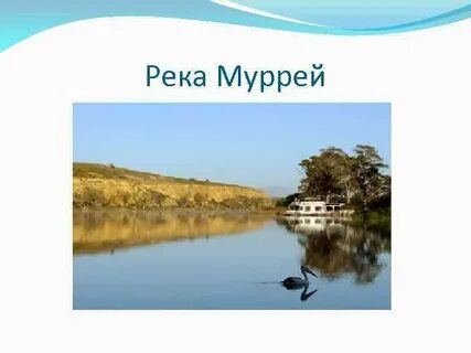 Устье реки муррей