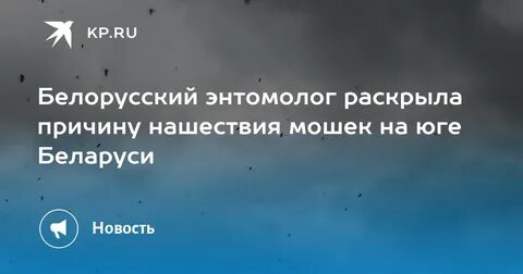 Когда закончится мошкара в гомеле