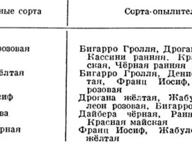 Сорта опылители черешни таблица. Таблица опылителей вишни сортов. Черешня опылители. Опылитель для вишни. Вишня призвание описание сорта опылители