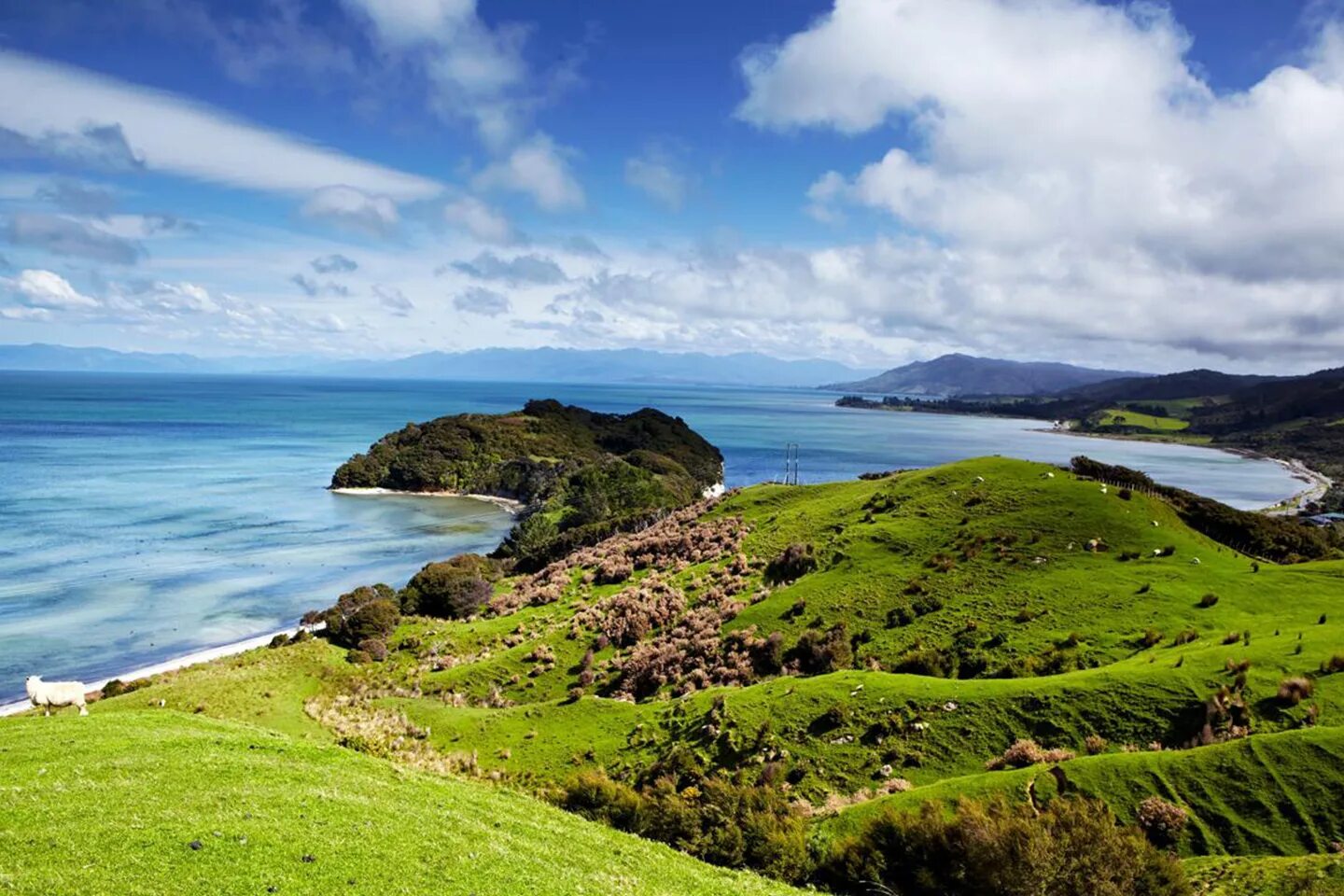 Новозеландия. Новая Зеландия климат. Уоркуэрт (новая Зеландия).