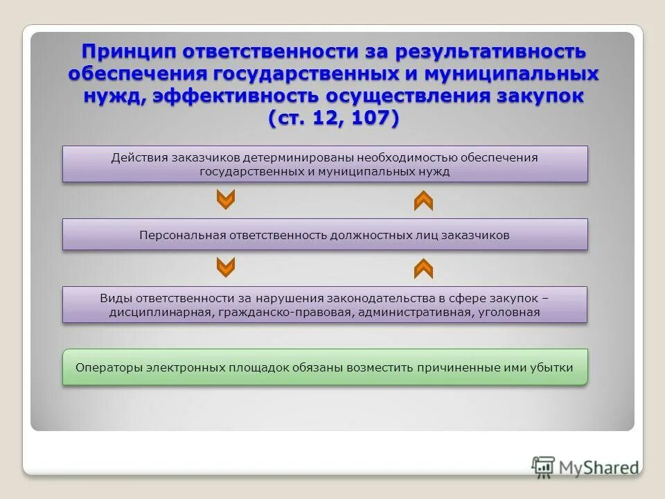 Ответственность за нарушения в сфере закупок. Принцип ответственности за результативность обеспечения. Закупки для муниципальных нужд. Эффективность системы государственных закупок.. Принцип эффективности закупки.