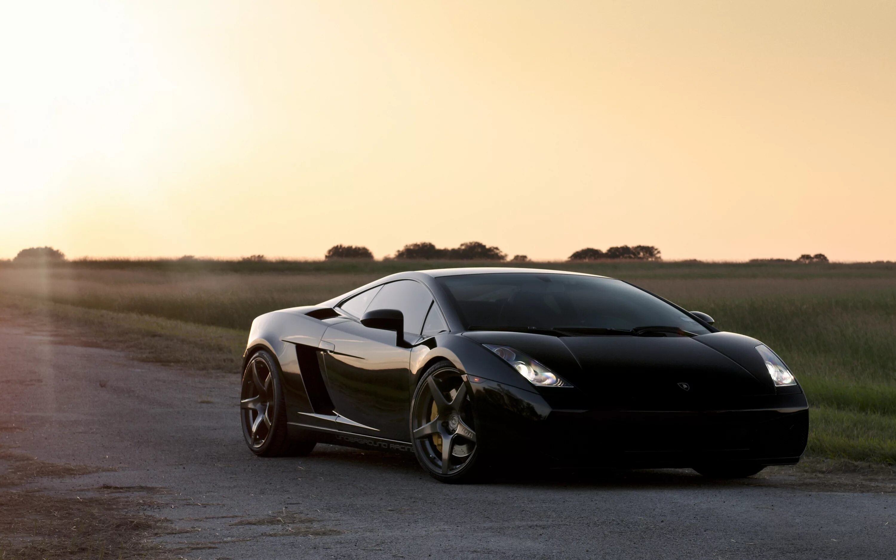 Lamborghini Gallardo. Ламборджини Галлардо черная. Ламборджини Галлардо фотообои. Красивые машины.