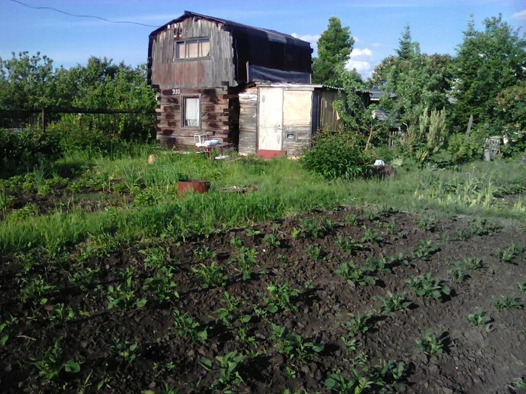 Нижнее Санчелеево Тольятти. СНТ нижнее Санчелеево. СНТ Кировское Тольятти. Дача СНТ Кировское Санчелеево.