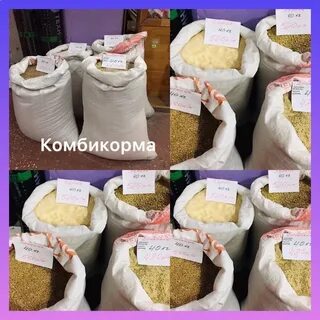 Покупатели комбикормов