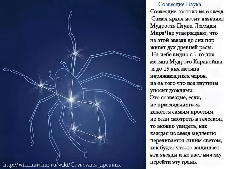 отряды пауков таблица. пауки в доме приметы. тюремная наколка паутина. функции паутины у пауков. что значат паучки.