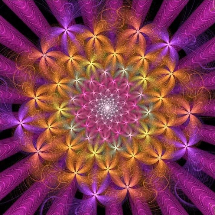 12 лучей света