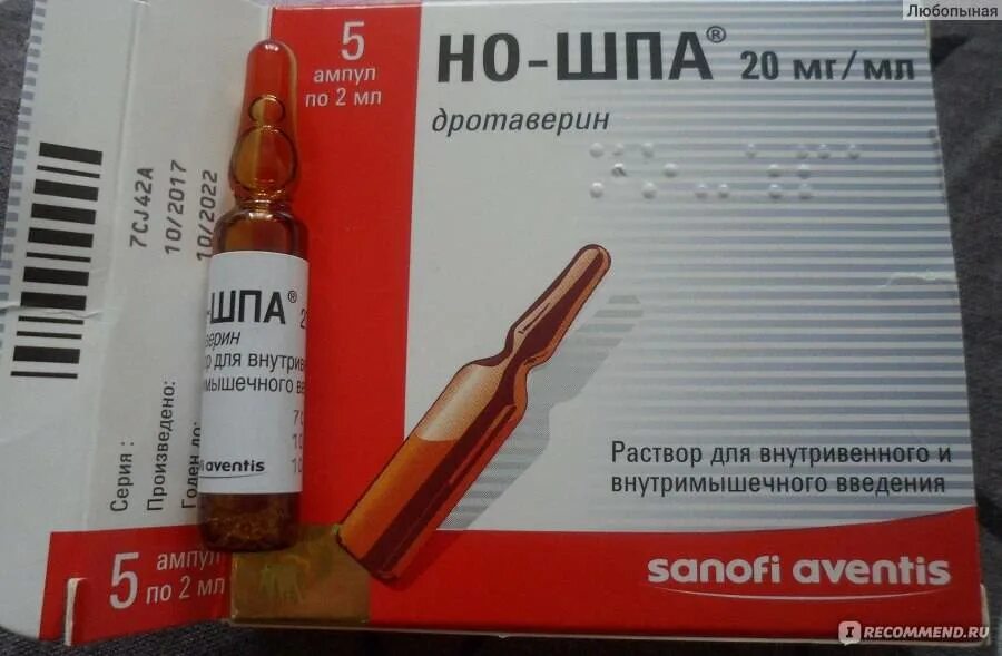 Можно дать кошке ношпу