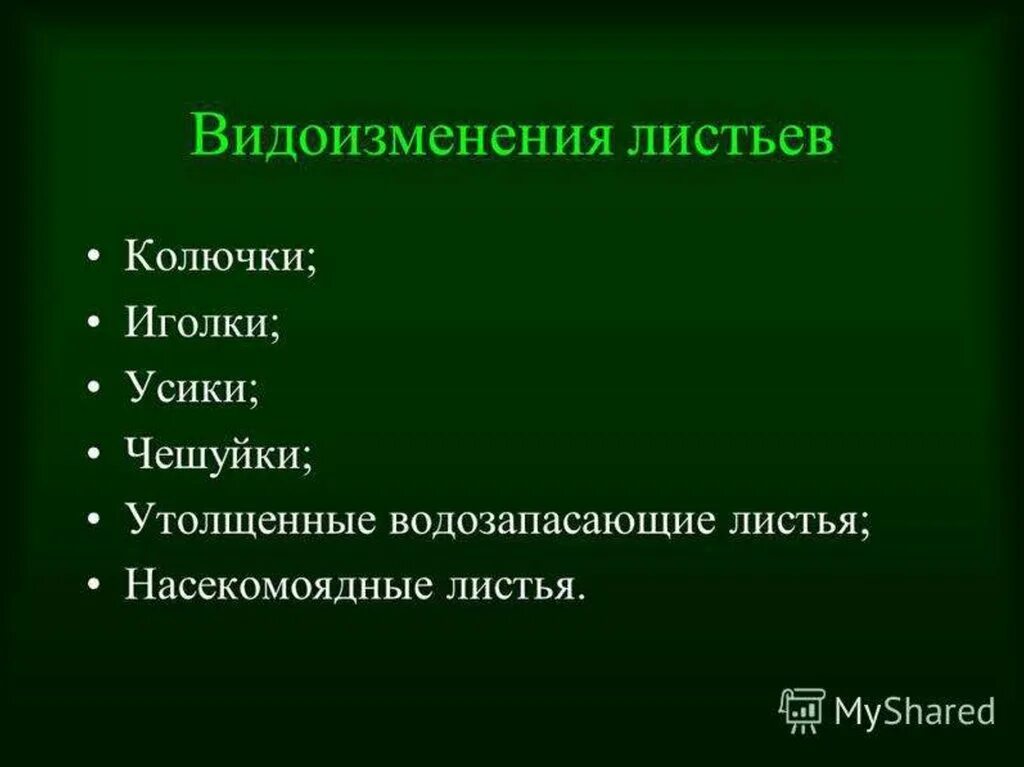 Видоизменения листьев. Видоизменение листьев 6 кл. Видоизменение листа презентация. Видоизменения листьев 6 класс биология.