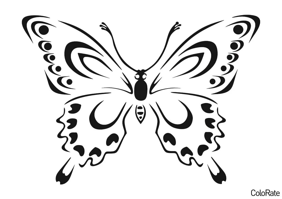 Раскраска "бабочки". Бабочка раскраска для детей. Трафареты бабочки. Бабочка раскраска для малышей.