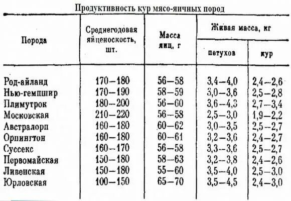 Сколько вес курицы. Яичная продуктивность кур. Мясо яичные породы кур таблица. Вес мясо яичных пород кур. Нормы кормления мясо яичных кур.