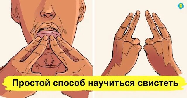 Как научиться свистеть с пальцами. Как научиться свистеть громко. Как научиться свистеть громко без пальцев. Как научиться свистеть двумя пальцами.