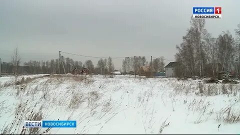 Погода садовый новосибирский