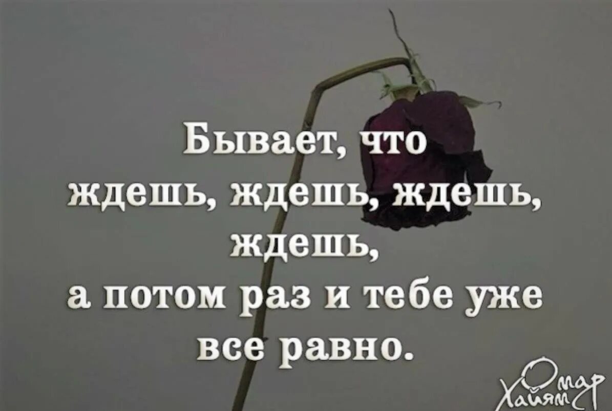 Мне стоит ждать ответа. Бывает уже не надо цитаты. бывает цитаты. ждать цитаты. цитаты я слишком долго ждал.