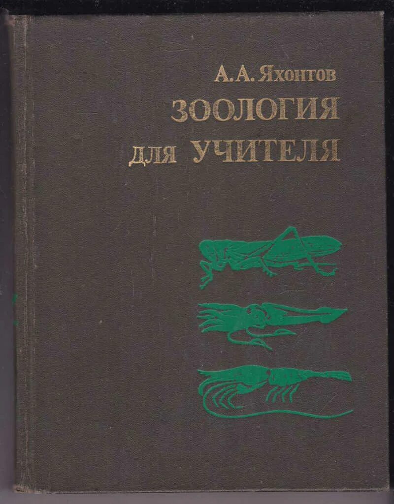 Книги про зоологию. Яхонтов Зоология для учителя. Ксенозоология книги.