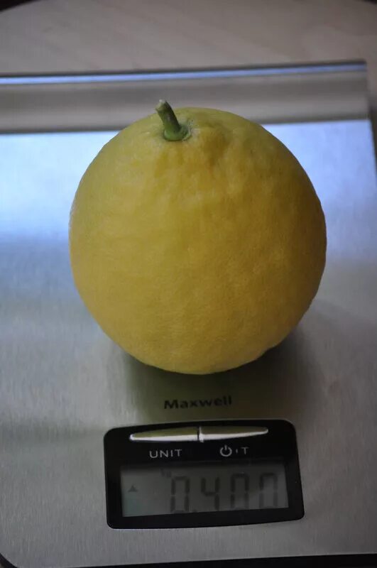 Вес 1 лимона. Вес лимона. Средний вес лимона. Вес одного среднего лимона.