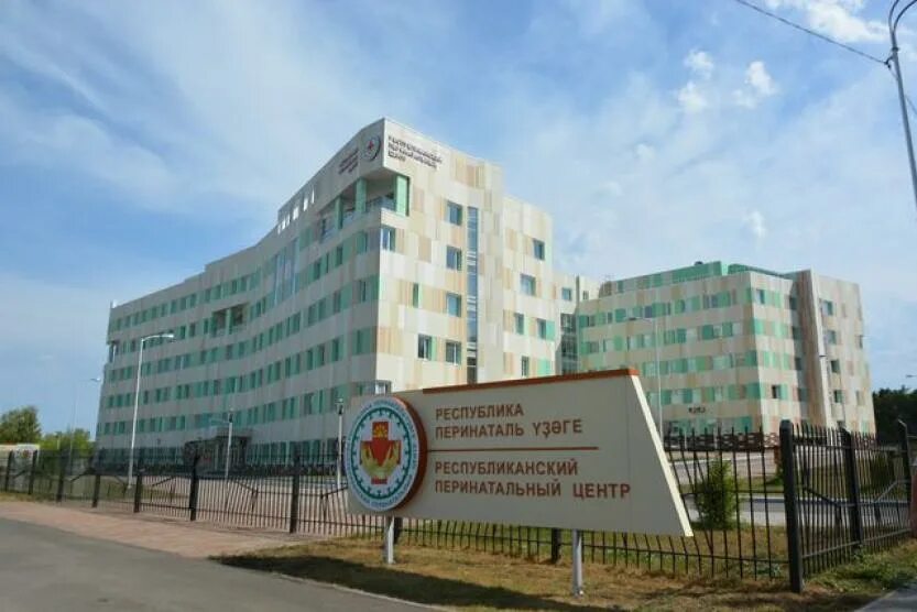 Перинатальные центры рб