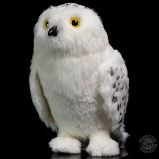 Owl отзывы