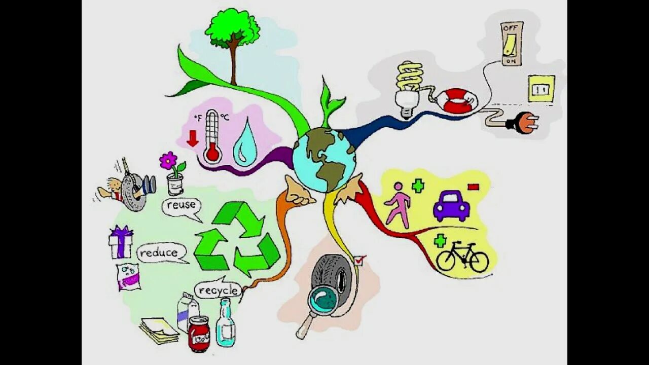 Окружение на английском. Ментальная карта экологические проблемы. Интеллект карта экологические проблемы. Ментальная карта по экологии. Интеллектуальная карта по природе.
