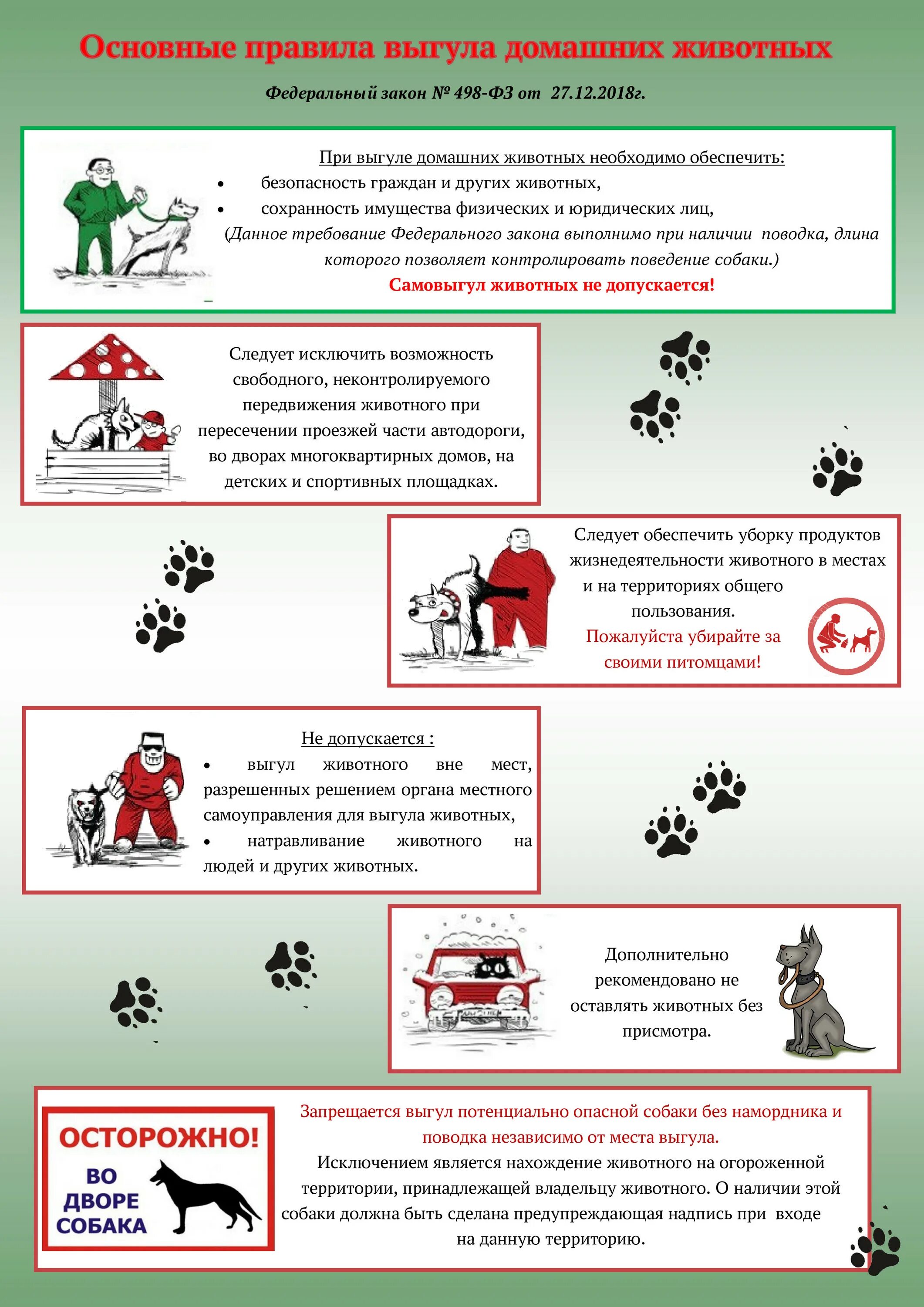 Памятки по правилам содержания домашних животных. Правила содержания домашних животных. Памятки по правилам содержания и выгула домашних животных. Памятка правила содержания собак. Ответственное содержание животных