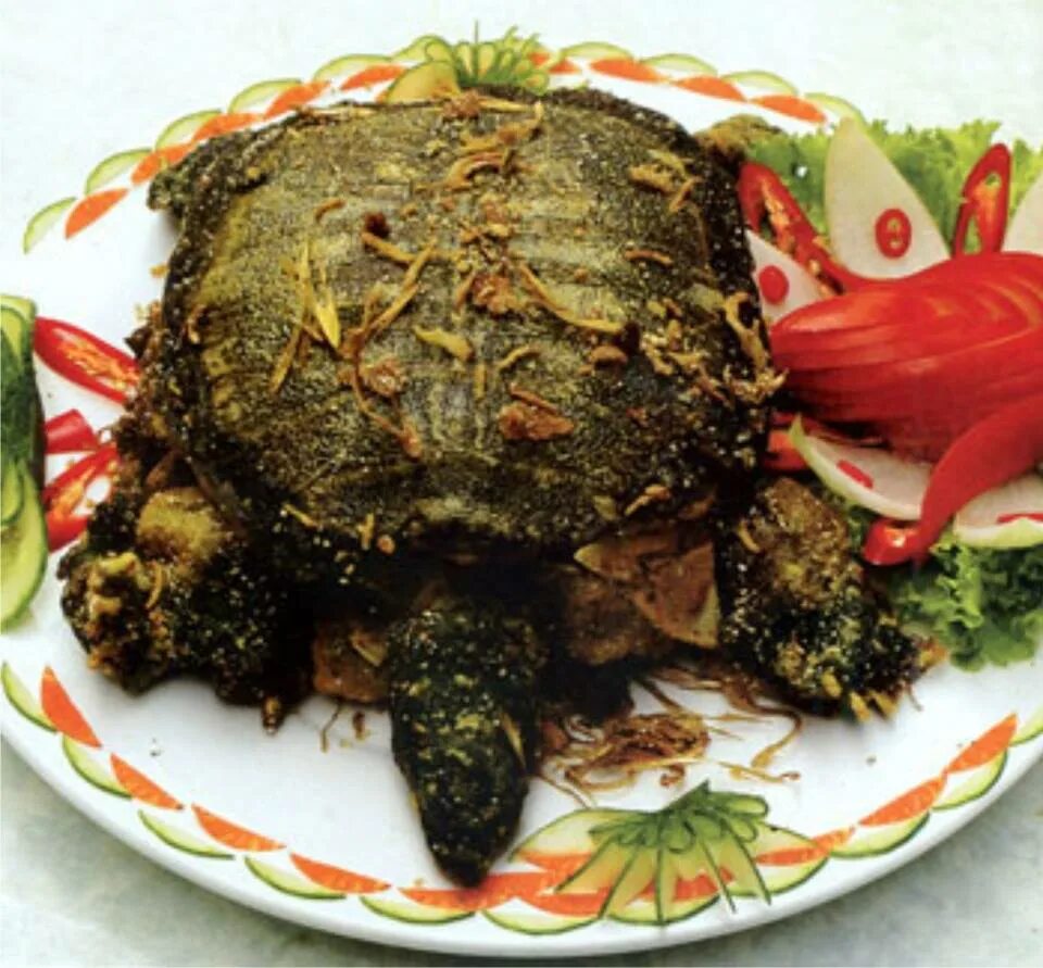 Мясо морских черепах. Блюда из черепахи. Блюдо из мяса черепахи. Черепаховый суп.