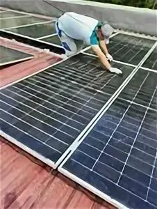 Viola energy tashkent