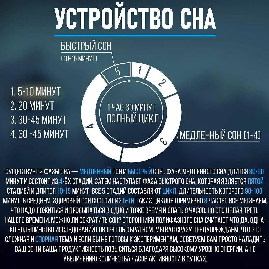 Если не спать 2 суток что будет. Полифазный сон. Система сна. Схемы полифазного сна. Фазы сна инфографика.