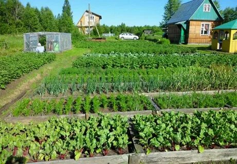Дачных садовых и огородных земельных