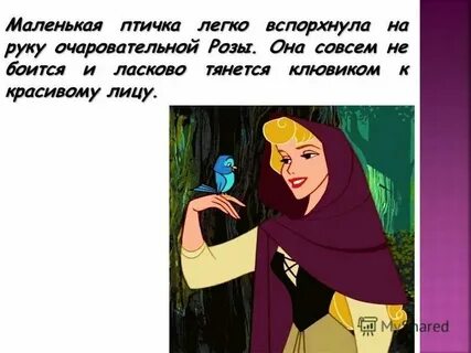 Красавица текст ярче