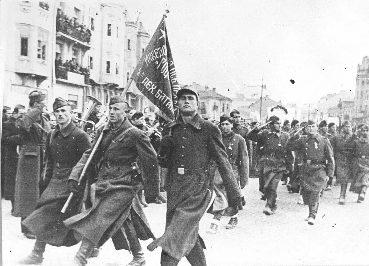 Сопротивление югославии. Народно-освободительная армия югославии. народно освободительная армия македонии. освобождение югославии 1944. народно-освободительная армия югославии 1941-1945.