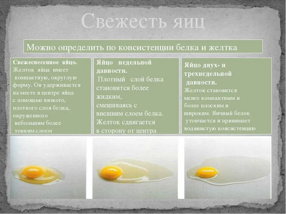 Собакам можно белок или желток