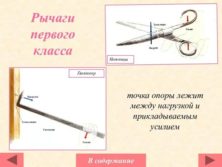 Простые механизмы в быту. Рычаг. Простые механизмы рычаг. Примеры рычагов. Простые механизмы ножницы в быту.