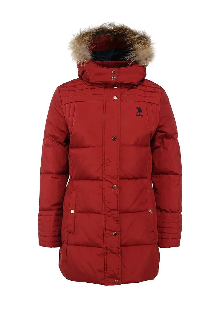 Пуховик u. U s polo assn пуховик мужской желтый. Пуховик us polo assn мужской. Пуховик us polo assn мужской. Polo assn.