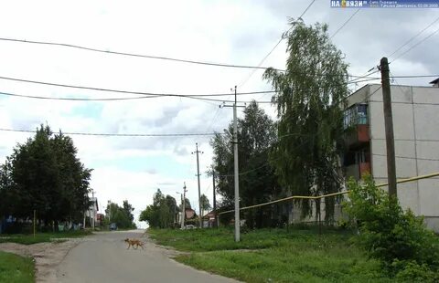 Погода порецкое чувашия на 10