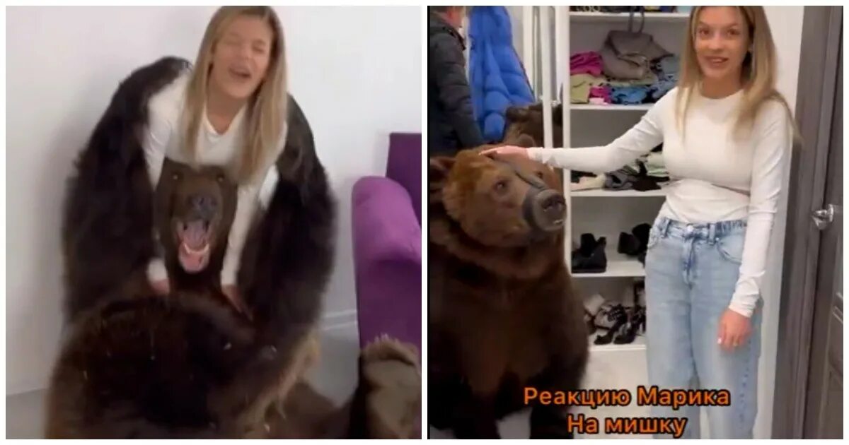 Видео собака привела медведей. Блогерша с медведем. Огромная собака медведь. Медведь в квартире.