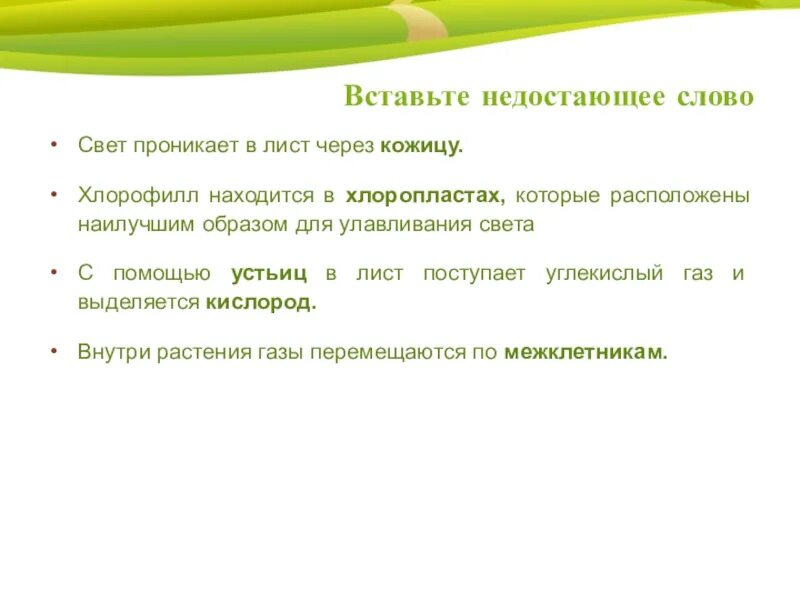 Вставьте пропущенные слова свет это. Свет проникает в лист через. Проникающий свет. Свет, проникающий через листву.