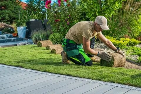 Landscaping Services in Dubai