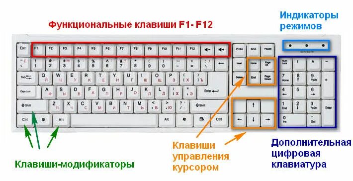 Клавиша f1 клавиатуры рисунок. Комбинации на клавиатуре компьютера. Строение клавиатуры. Выделение на клавиатуре клавиши.