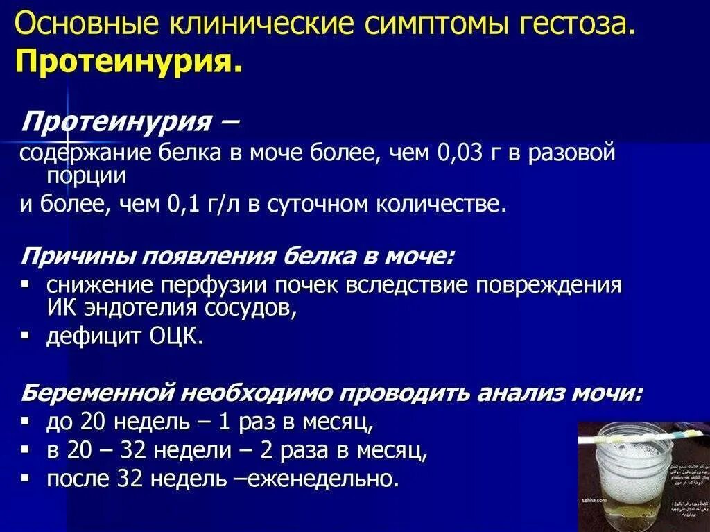 Белок 5 6 мочи. Протеинурия в моче. Белок в моче норма у беременных. Белок в моче при протеинурии. Протеинурия при беременности.