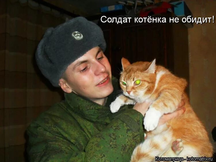 теперь ты в армии нах. солдат с котенком. солдат ребенка не обидит картинки.