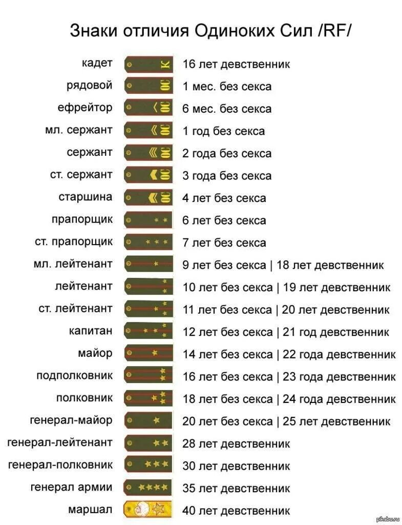 Звания в армии россии 2024. Юи Юигахама. Звания лейтенант ефрейтор. Таблица воинских званий в Российской армии.
